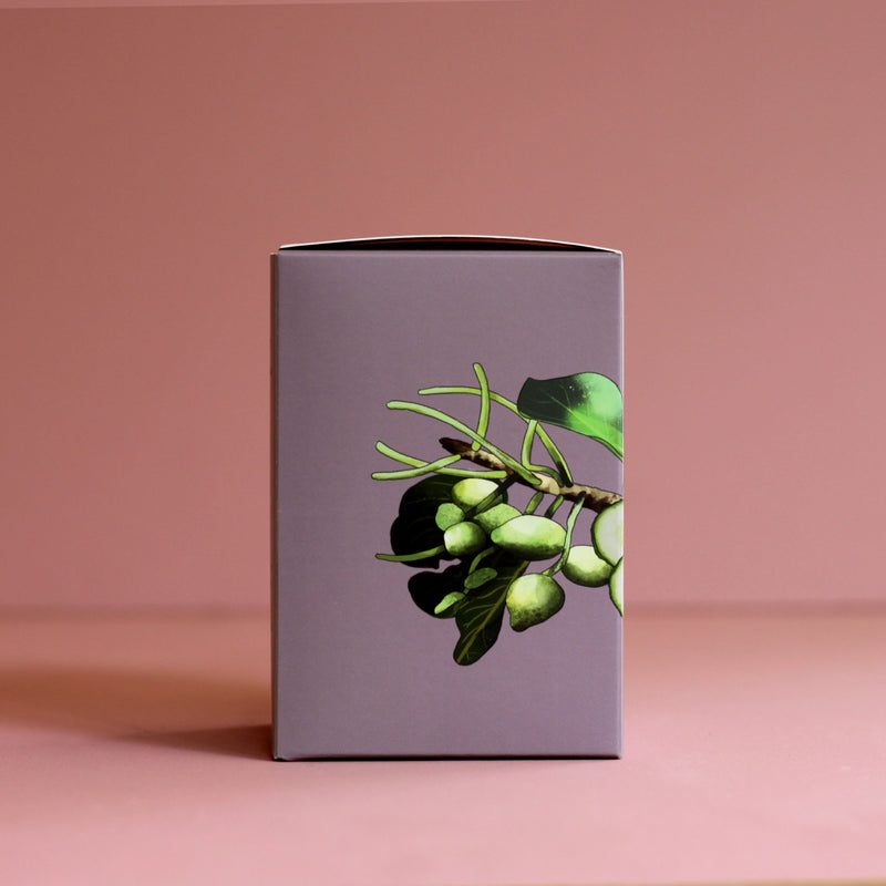 Australiana Soy Candle - Kakadu Plum & Cucumber