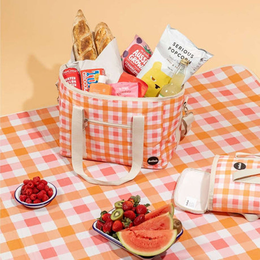 Picnic Mat - Watermelon Peach Check