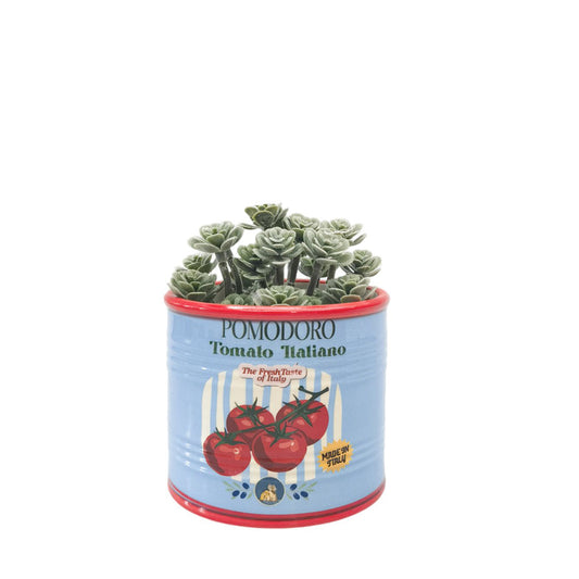 Tomato Italiano Can Planter - Blue 10cm