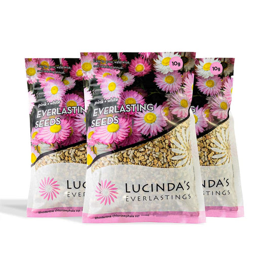 Lucinda's Everlastings - 10g
