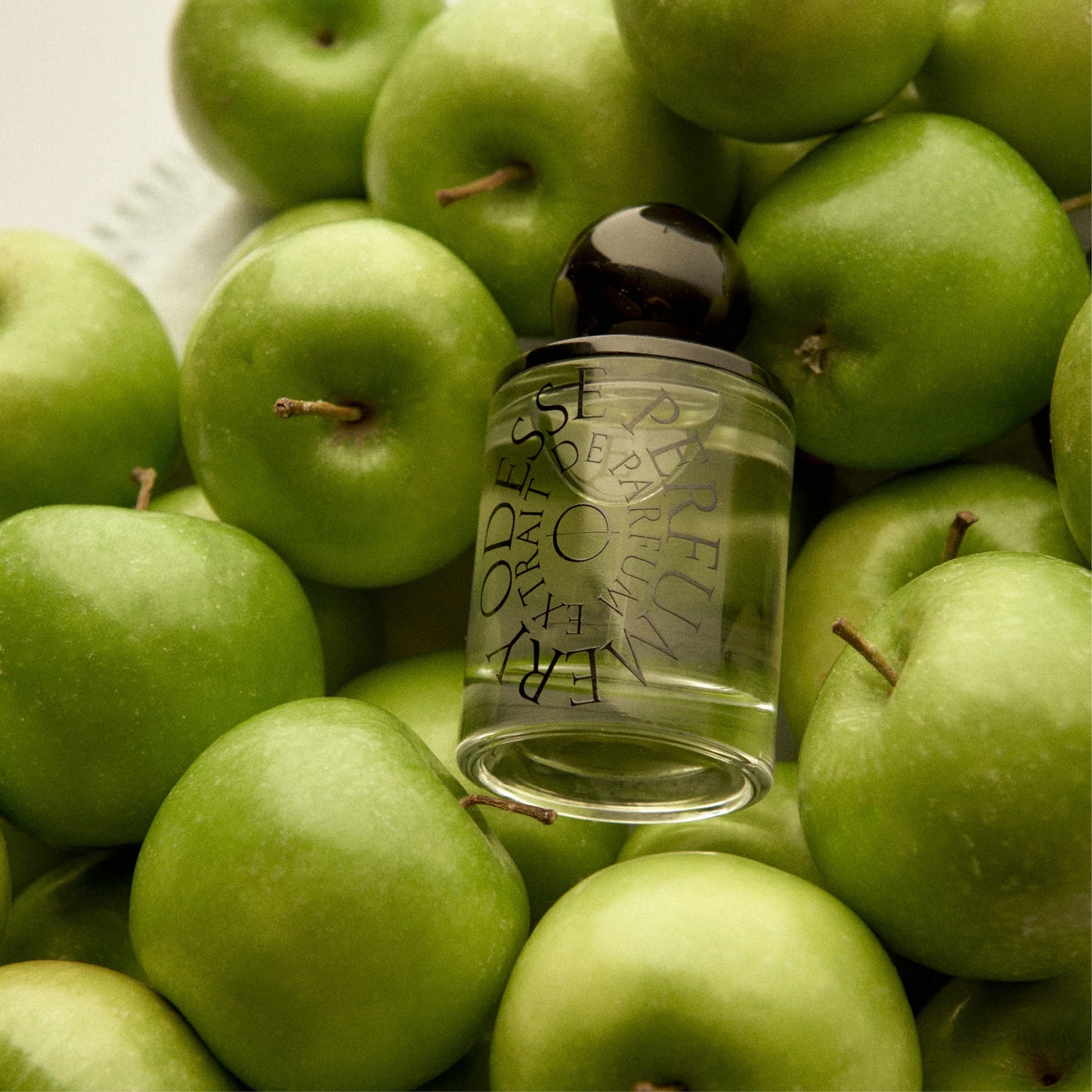 Odesse Cedar Street Extrait de Parfum