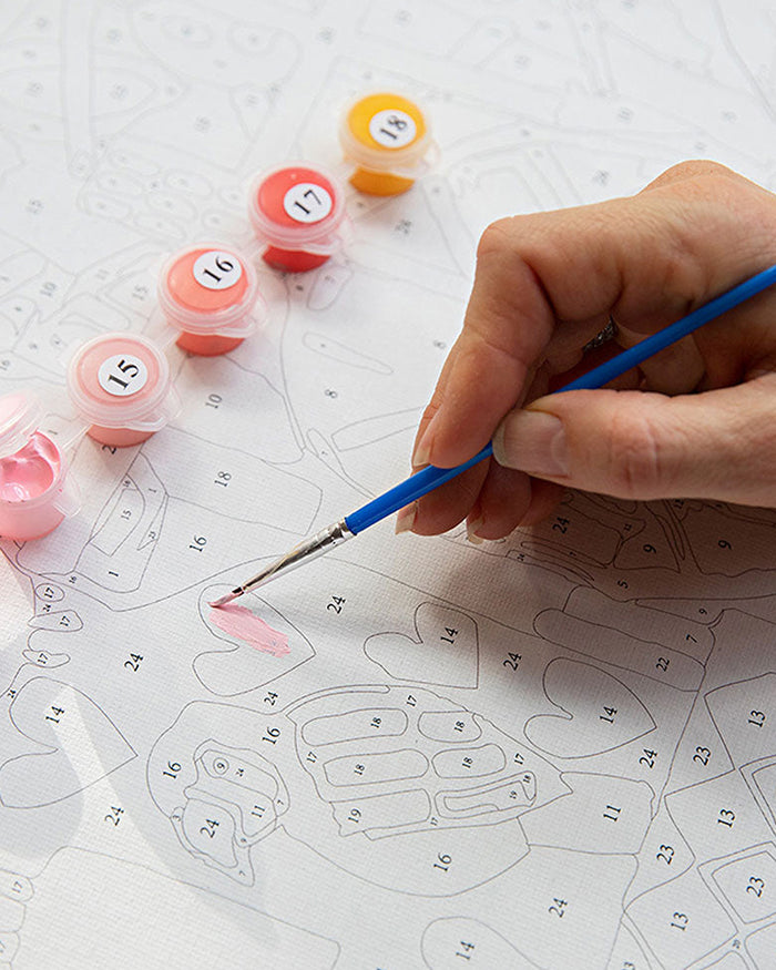 Paint by Numbers - Pink Haze