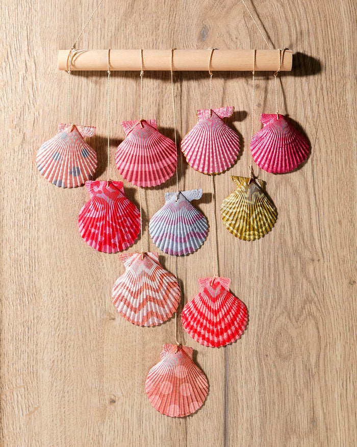 Make Your Own Shell Wall Hanging Kit