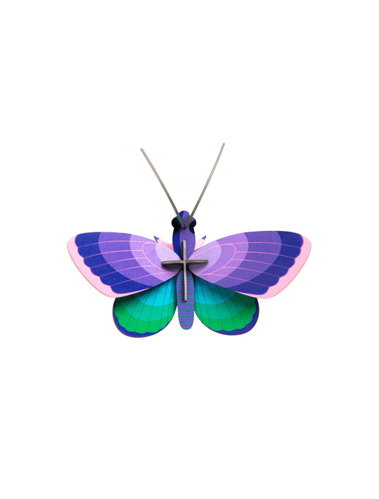 Wall Art Butterflies - Blue Copper Butterfly